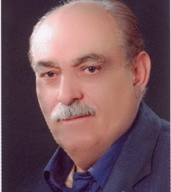 Sayed Ali MortazaviGeneral directorthe member of the Directors Board